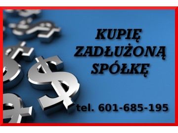 299 ksh w zadluzonej spolce 1
