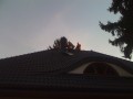 dach 3