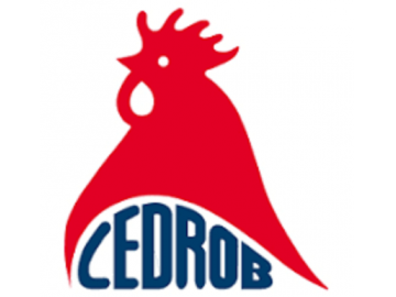 drobiarz w wylegarni pisklat w skarzynku km 1