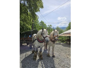 dyskoteka goralska w szalas na kamiencu w szczyrku 4