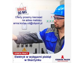 Elektryk w Wylęgarni Piskląt w Skarżynku