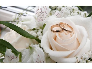 fotograf kamerzysta slub wesele studniowka ananas media 4