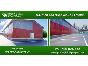 Hala/Magazyn na wynajem