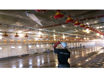 KRISOFF Mycie kurnika - mycie kurników