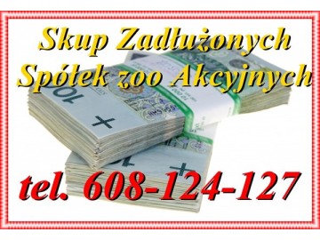 Kupię Każdą Spółkę oraz JDG, Ochrona KAS/JPK/233,299,586 K.s.h 