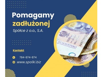Ochrona Członków Zarządu - Pomoc /Optymalizacja JPK/KAS/ZUS/ 29