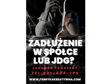 Zadłużenie w Spółce lub JDG?/Chronimy Zarząd i Hipotekę, także 