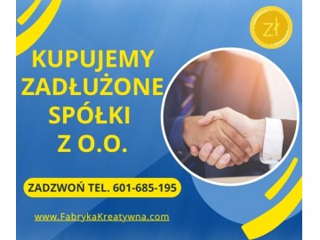 Skup zadłużonych spółek z o.o. ochrona zarządu przed art. 299 k