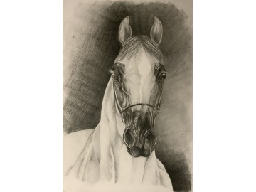 kurs rysunku elipsa zapisy na rok szkolny 20232024 2