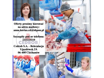 Maszynista chłodniczy (K/M) Kutno 