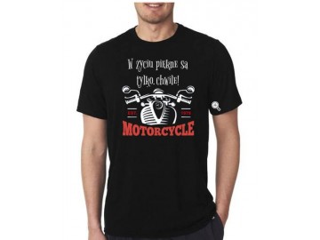 oferuje koszulki t shirty 2