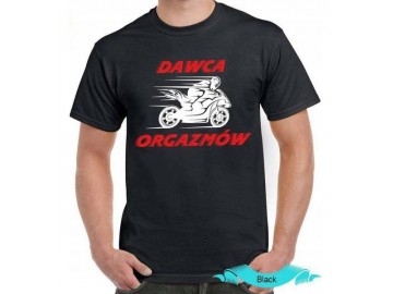 oferuje koszulki t shirty 4