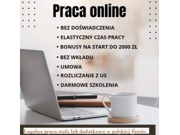 Praca stała lub dodatkowa zdalna, w domu, przez internet