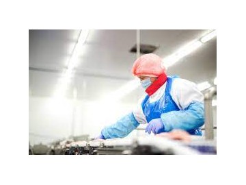 Pracownik produkcji przy przyjęciu żywca