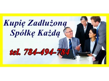 Skup Zadłużonych Spółek - Pomoc w 299 ksh