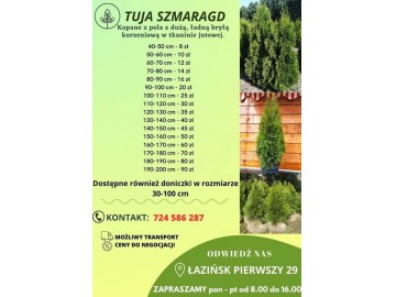 tuje szmaragd detalhurt cala polska 6