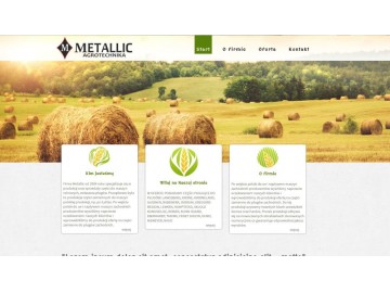 tworzenie stron internetowych 42