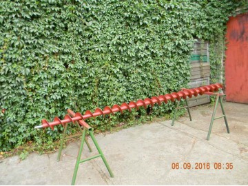 zmijka slimak sznek do zwiru 1