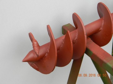 żmijka  ślimak  sznek  świder  wiertło